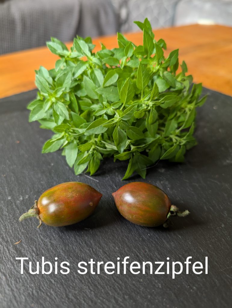 Tubis Streifenzipfel