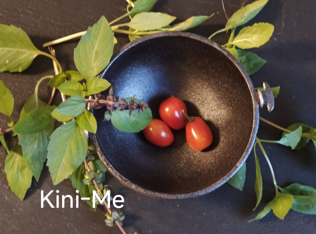 Neu 2026 Kini-Me