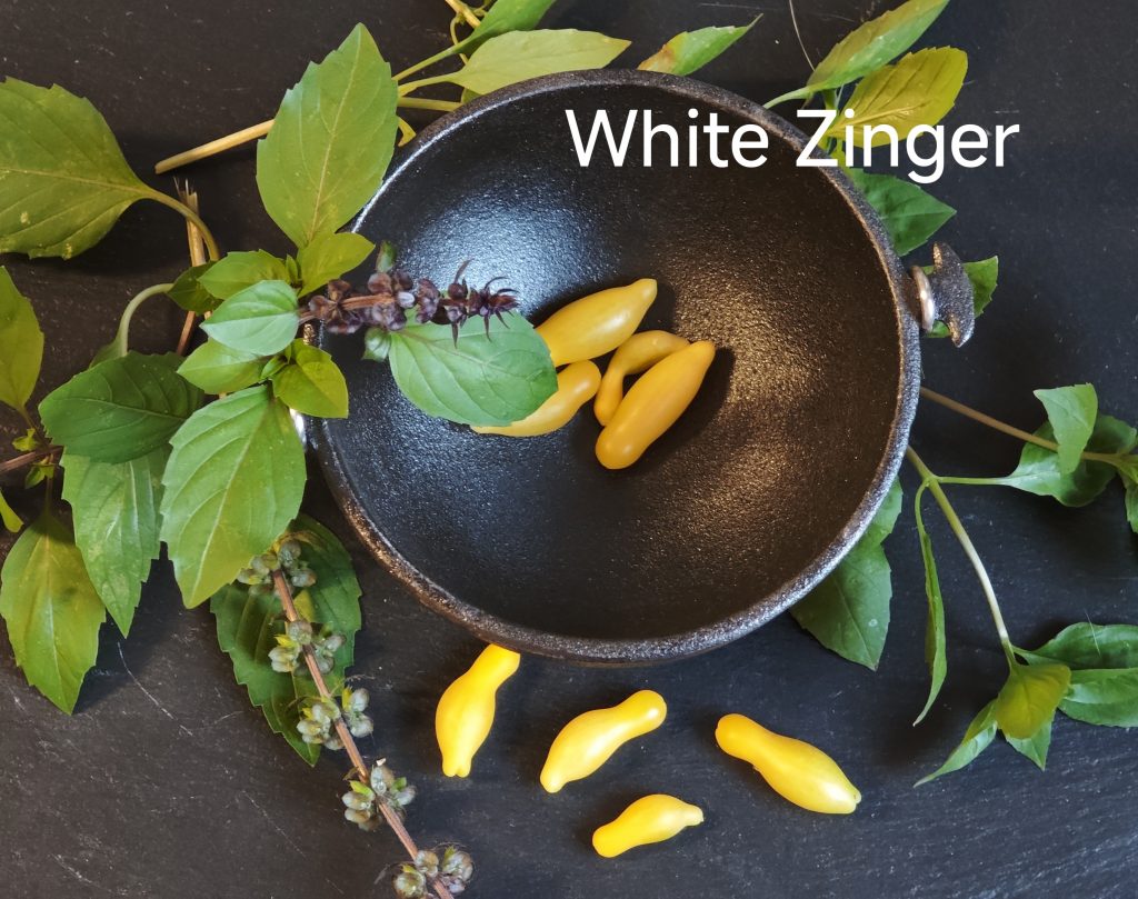 Neu 2026 White Zinger
