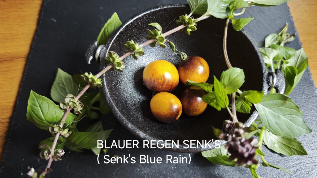 Neu 2026 Blauer Regen Senks