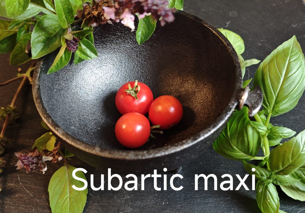 Neu 2026 Subartic Maxi