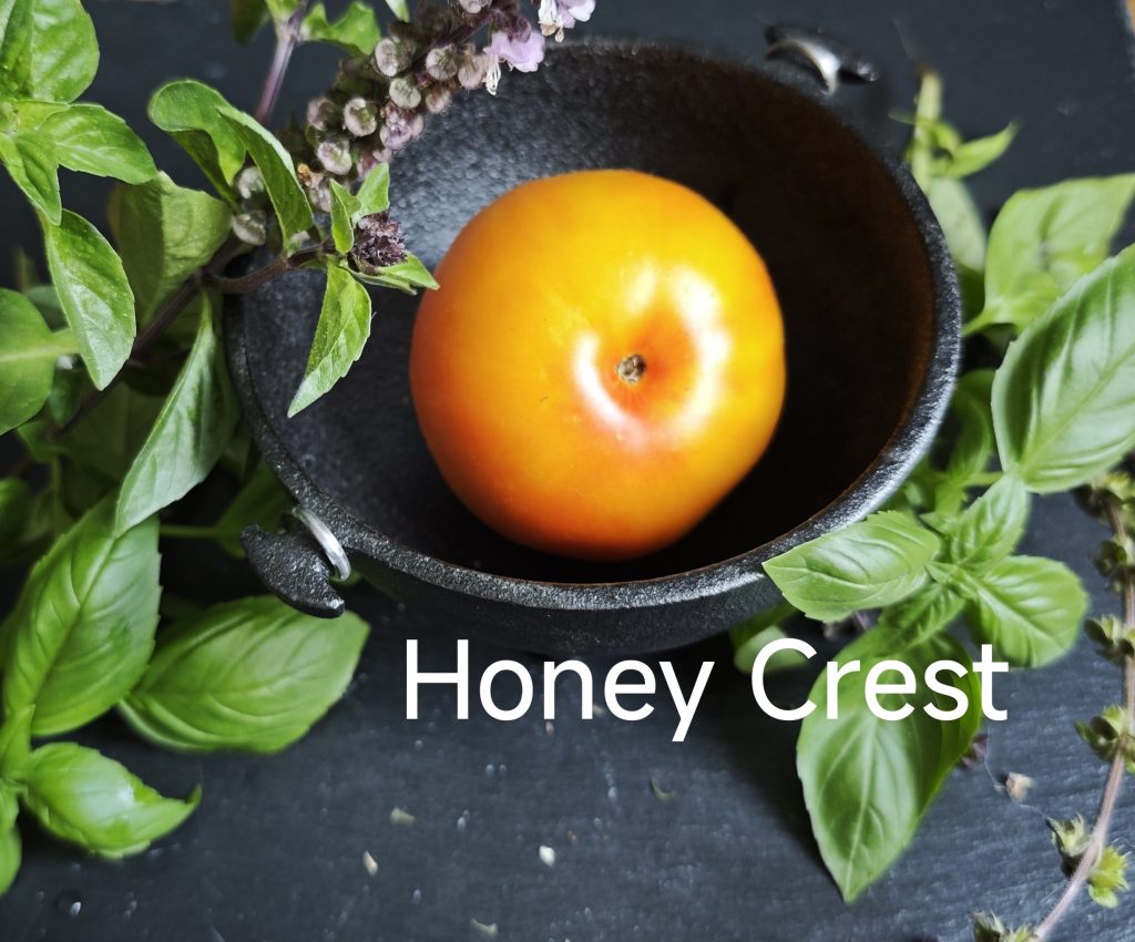 Neu 2026 Honey Crest