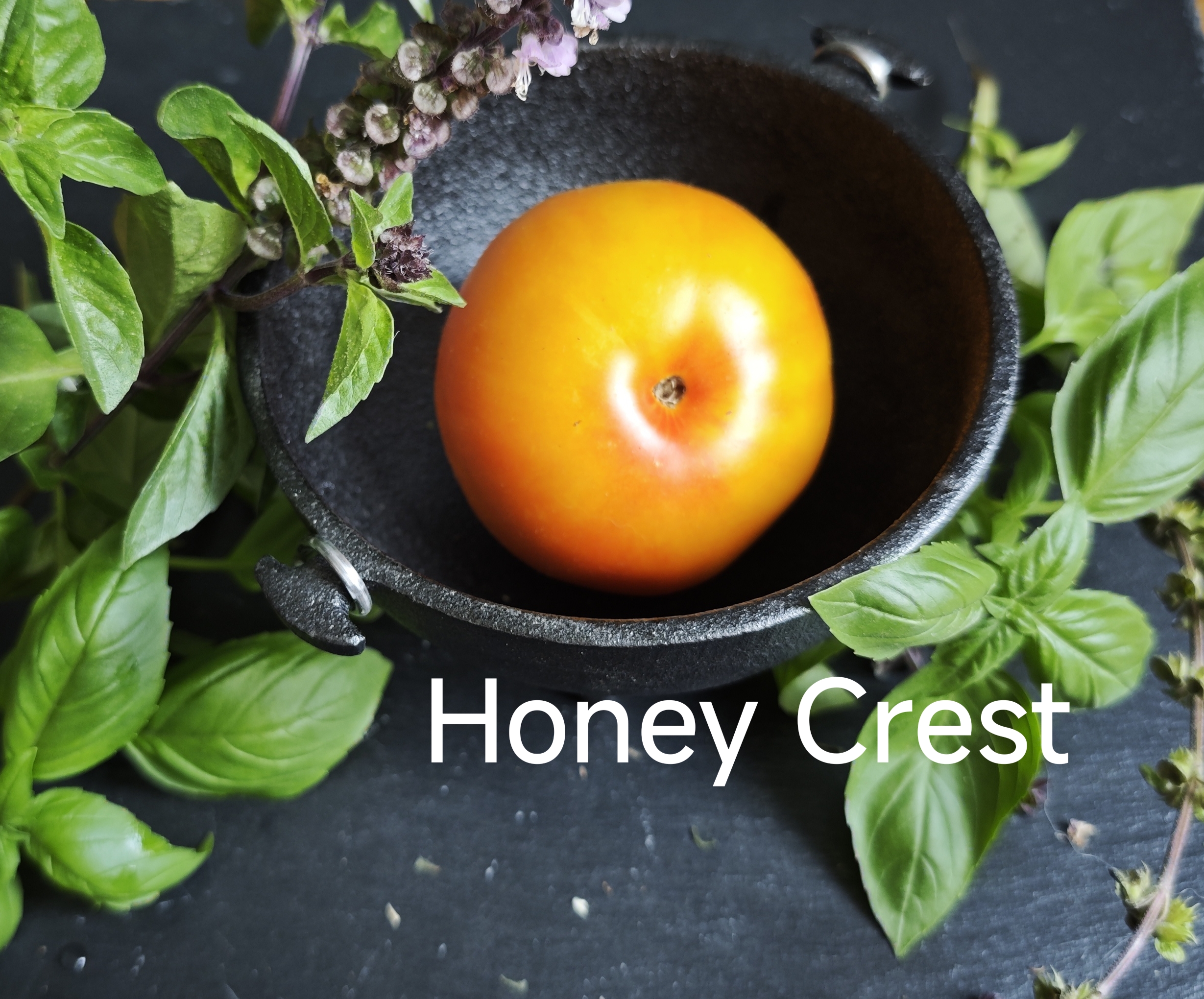 Neu 2026 Honey Crest