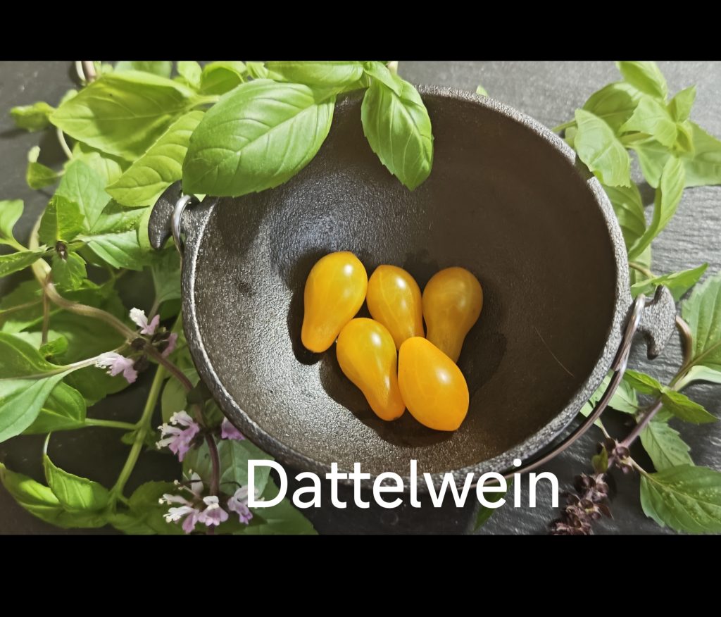 Neu 2026 Dattelwein