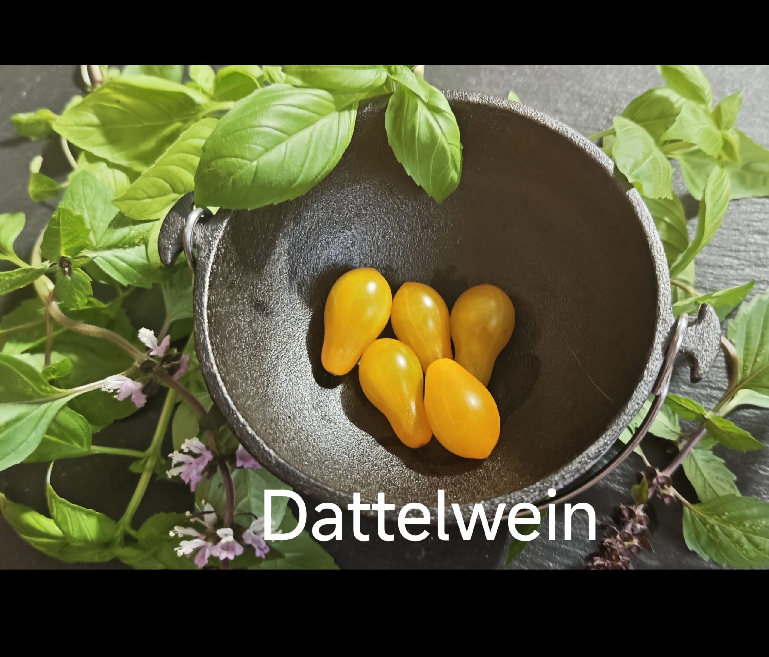 Neu 2026 Dattelwein