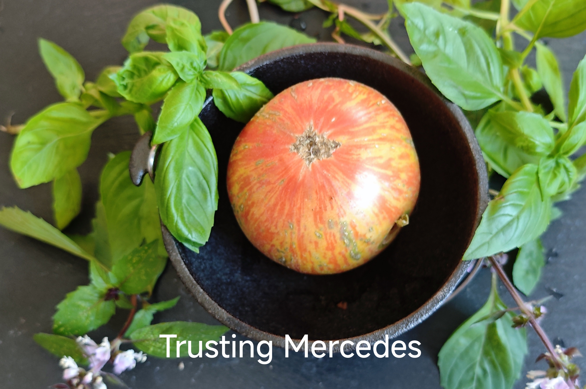 Neu 2026 Trusting Merced F7
