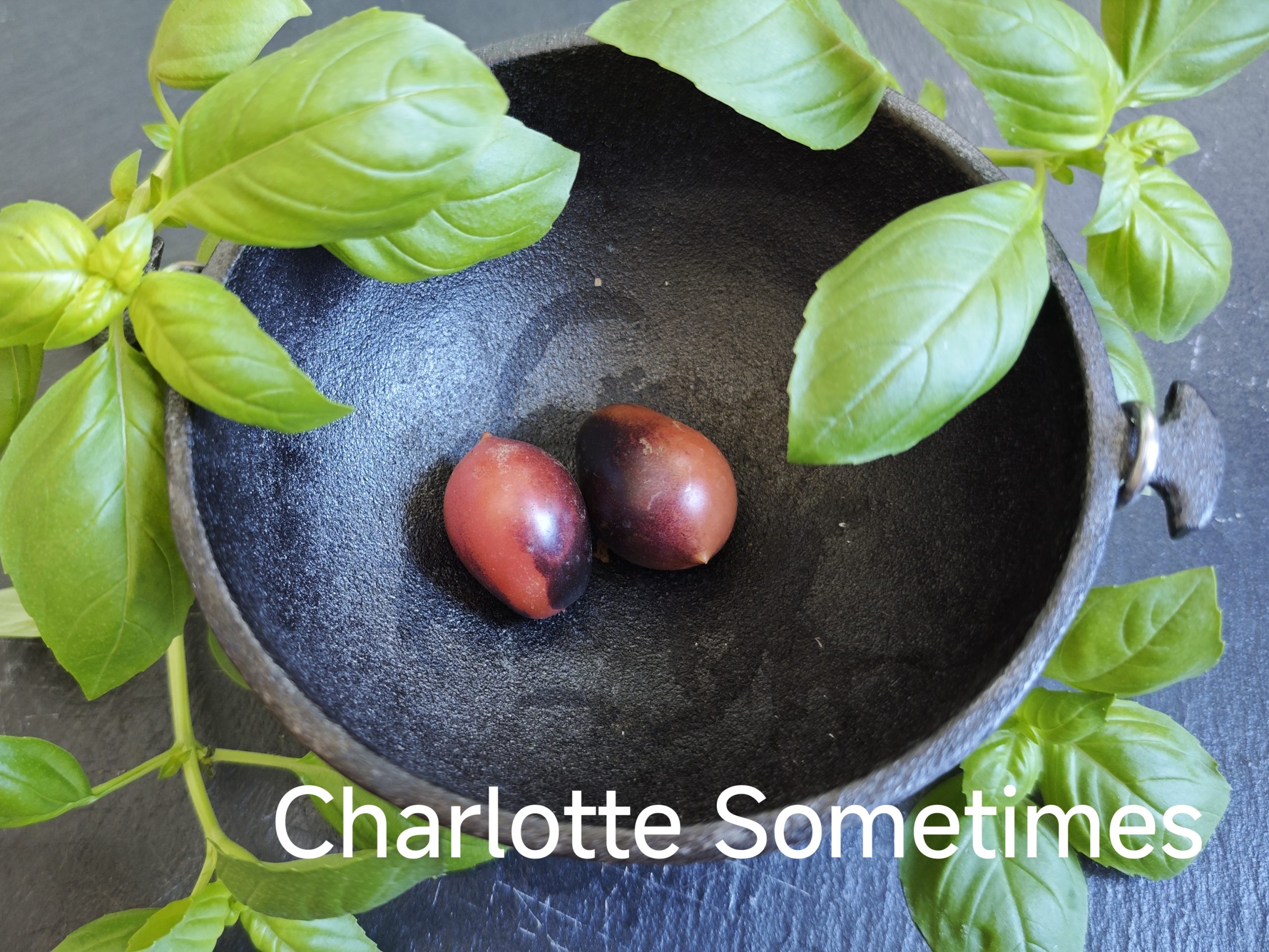 Neu 2026 Charlotte sometimes