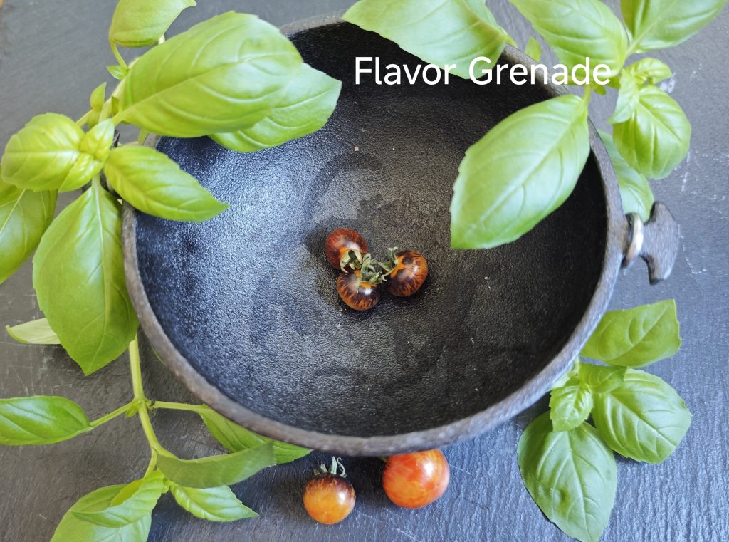 Neu 2026 Flavor Grenade