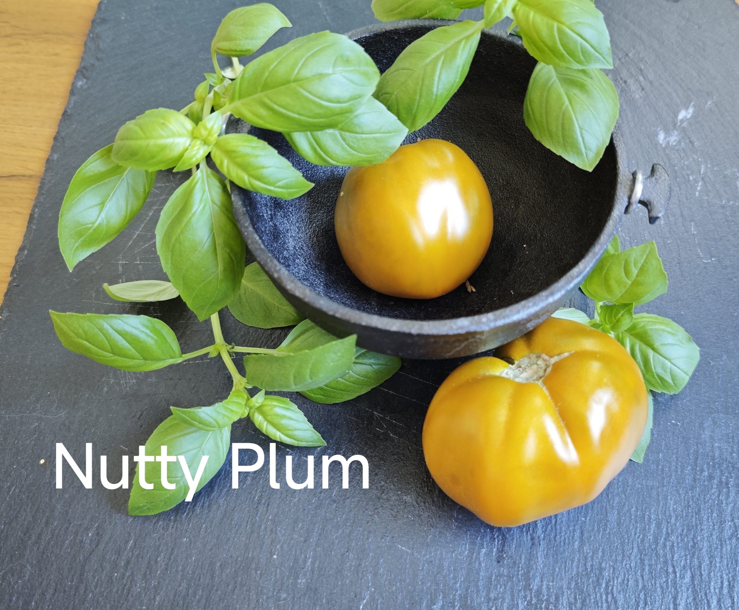 Neu 2026 Nut plum