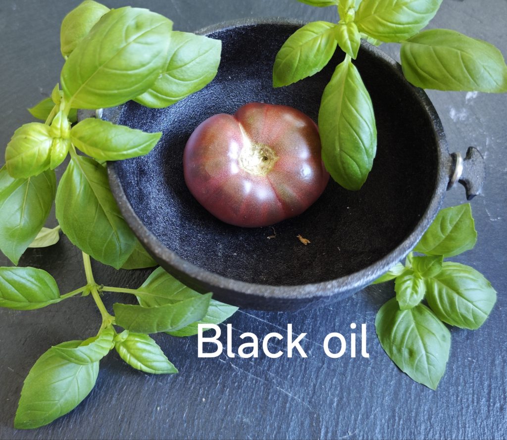 Neu 2026 Black Oil