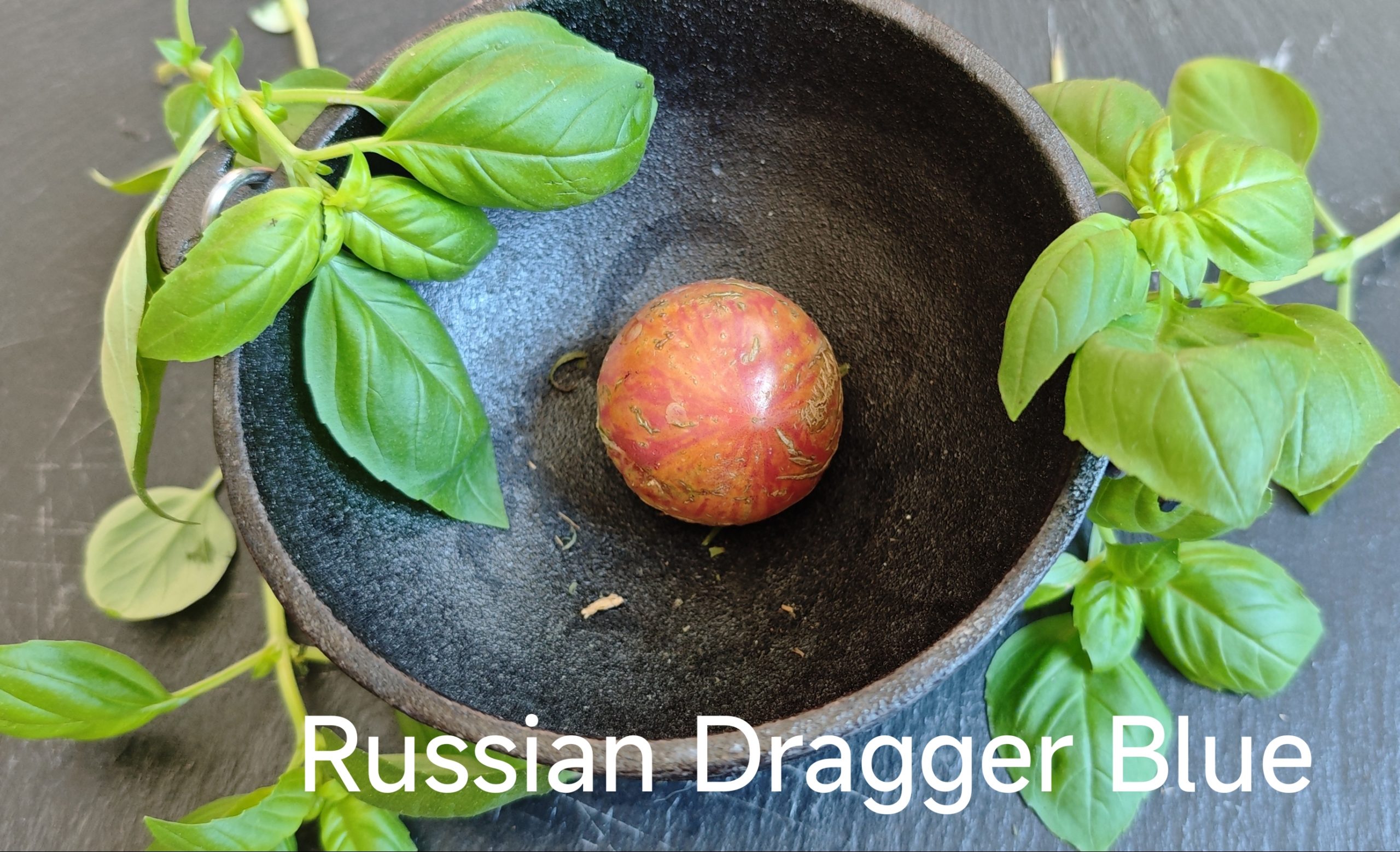 Neu 2026 Russian Dragger Blue