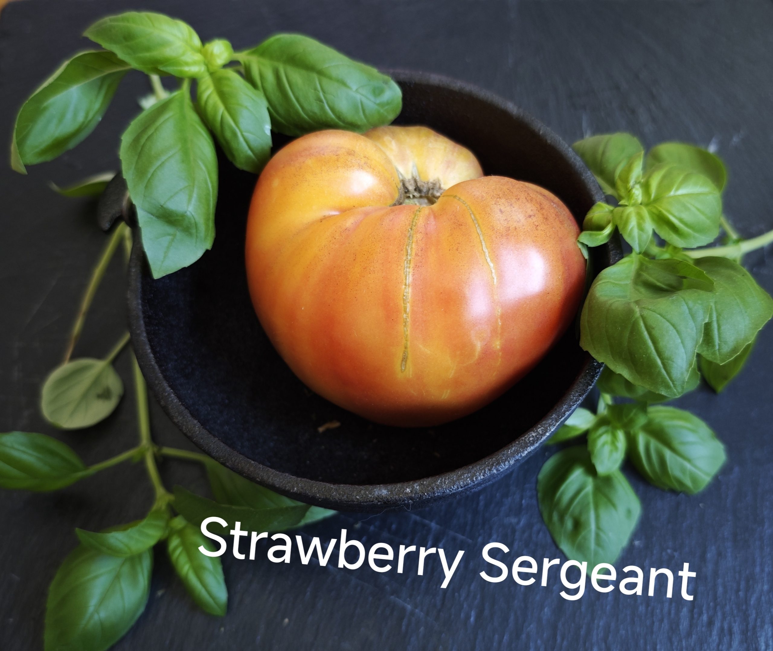 Neu 2026 Strawberry Sergeant