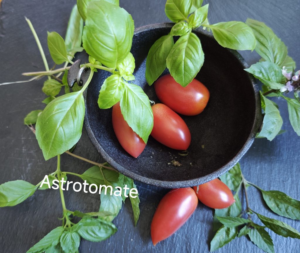 Neu 2026 Astrotomate