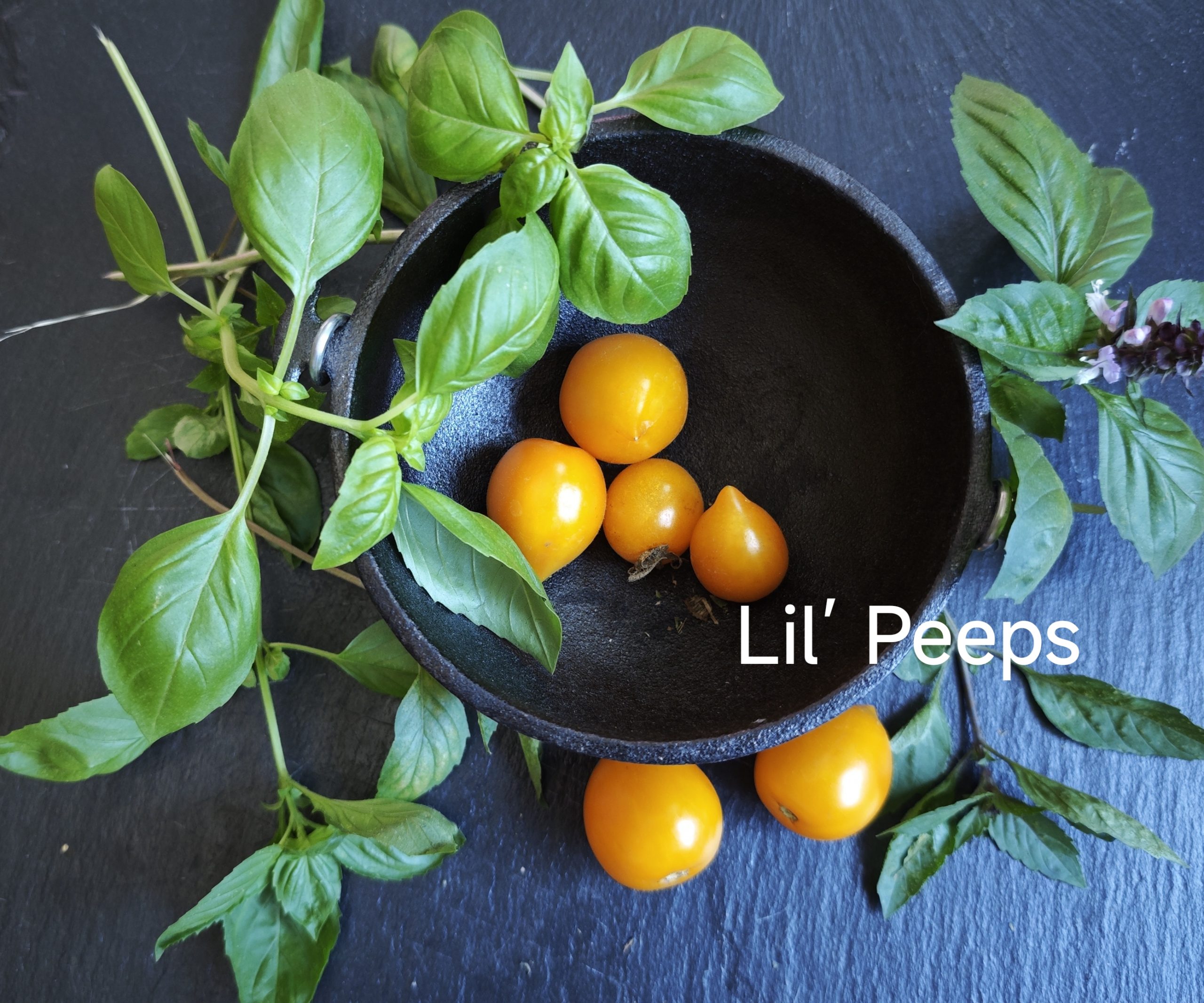 Neu 2026 Lil Peeps