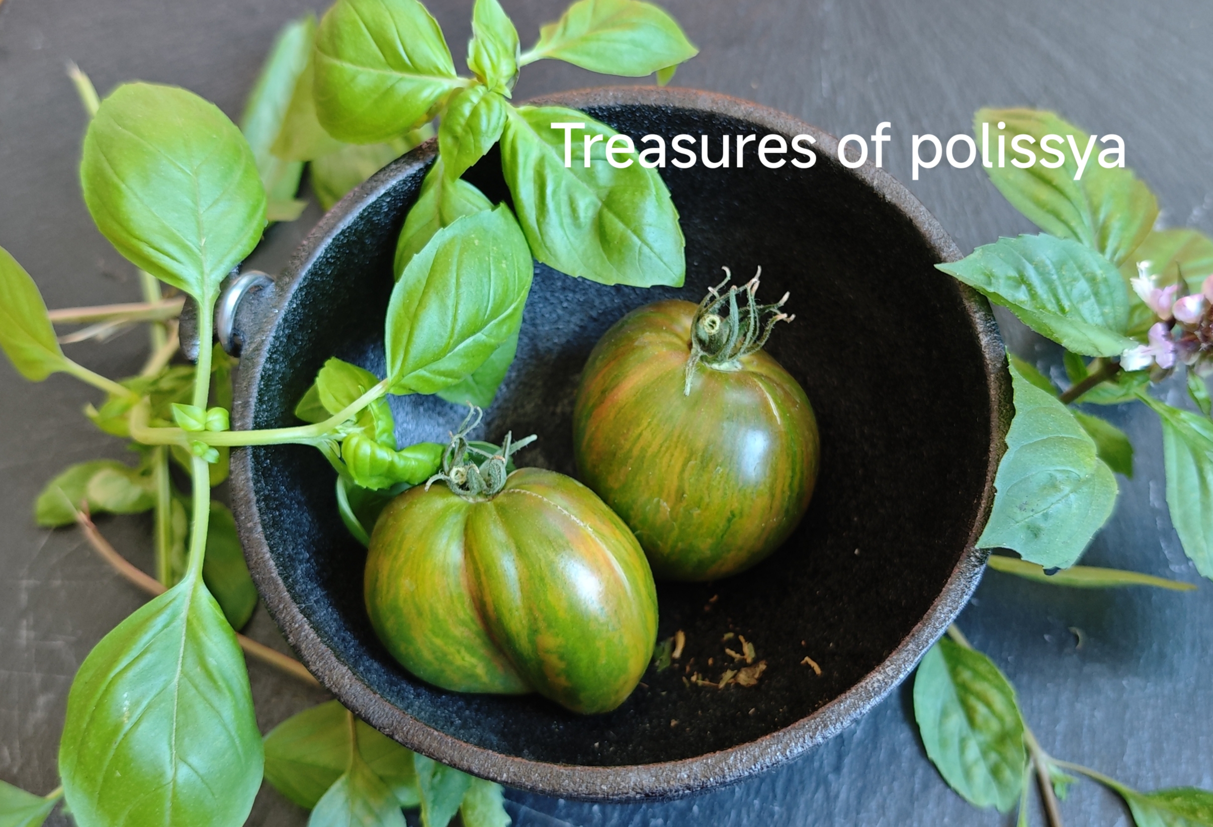 Neu 2026 Treasures of Polissya