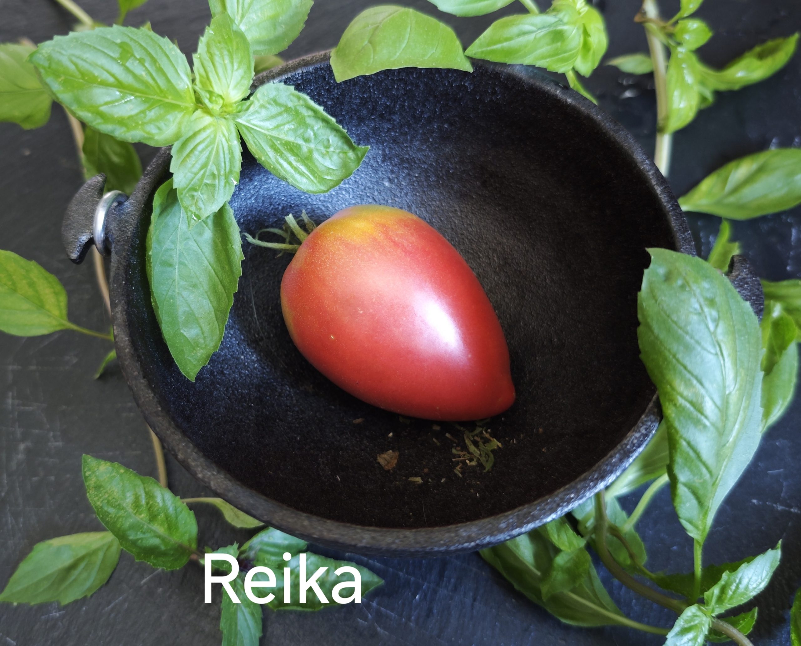 Neu 2026 Reika