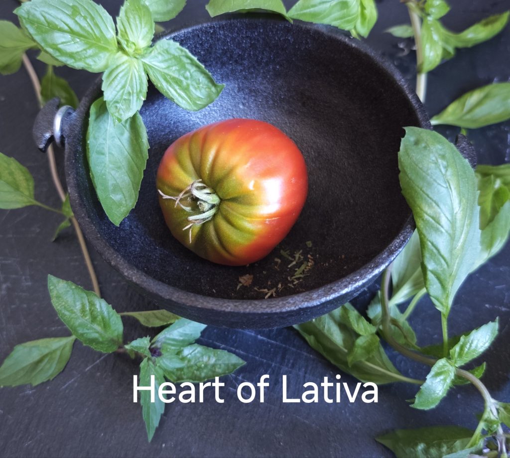 Neu 2026 Heart of Lativa
