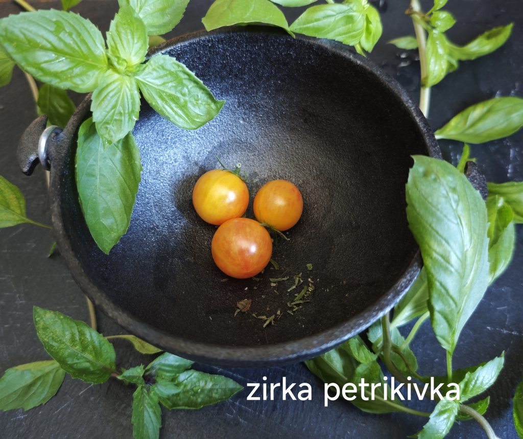 Neu 2026 Zirka Petrikivka