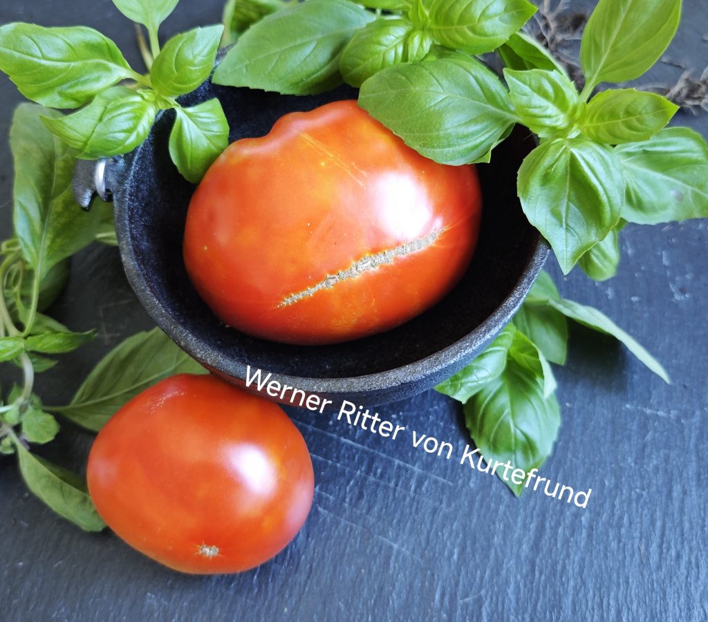 Neu 2026 Werner Ritter von Kurtefrund