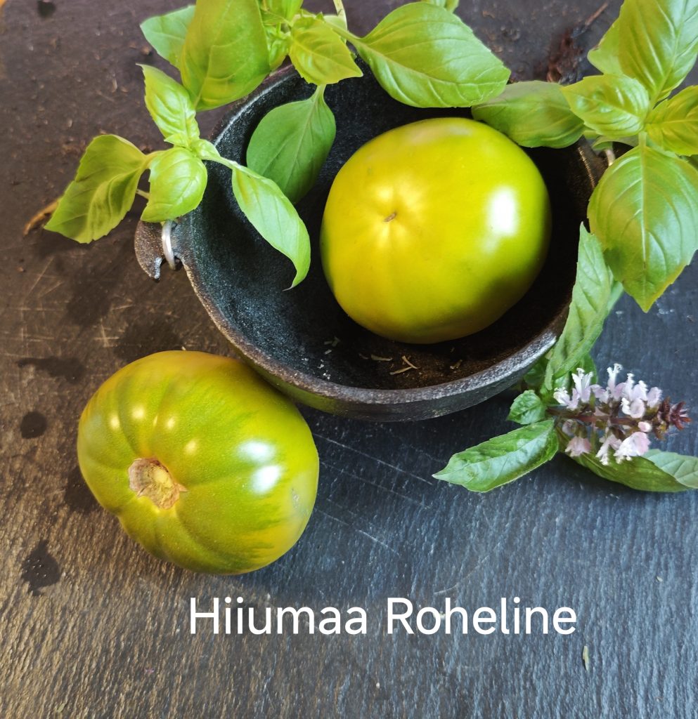 Neu 2026 Hiiumaa Roheline