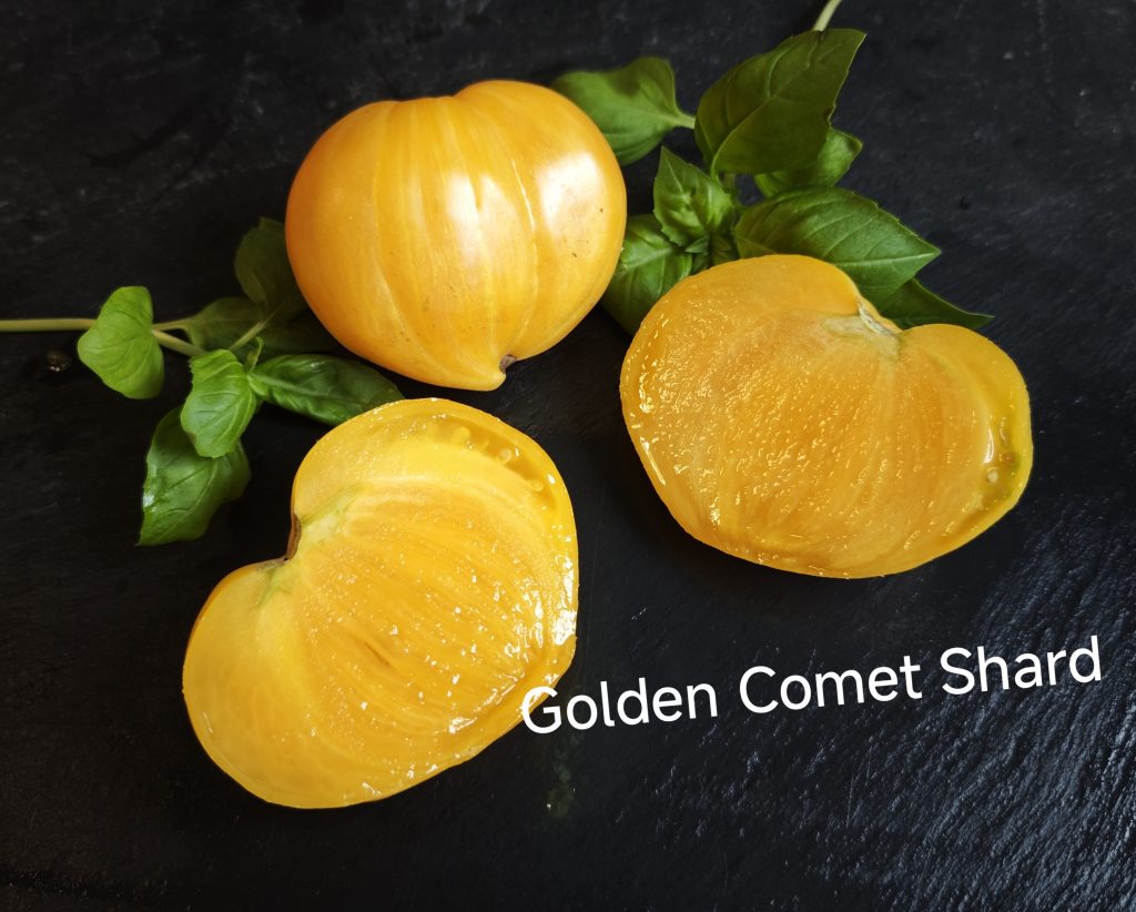Neu 2026 Golden Comet shard