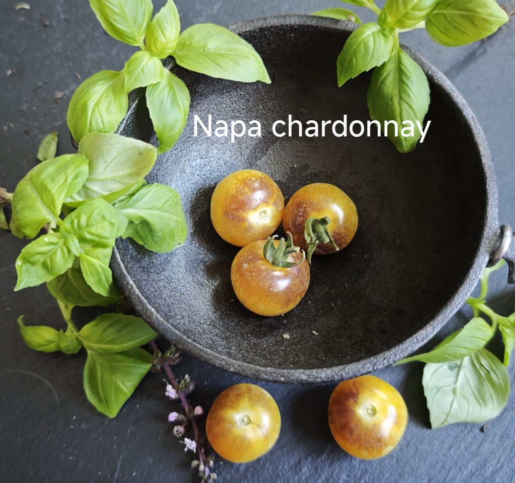 Neu 2026 Napa chardonnay