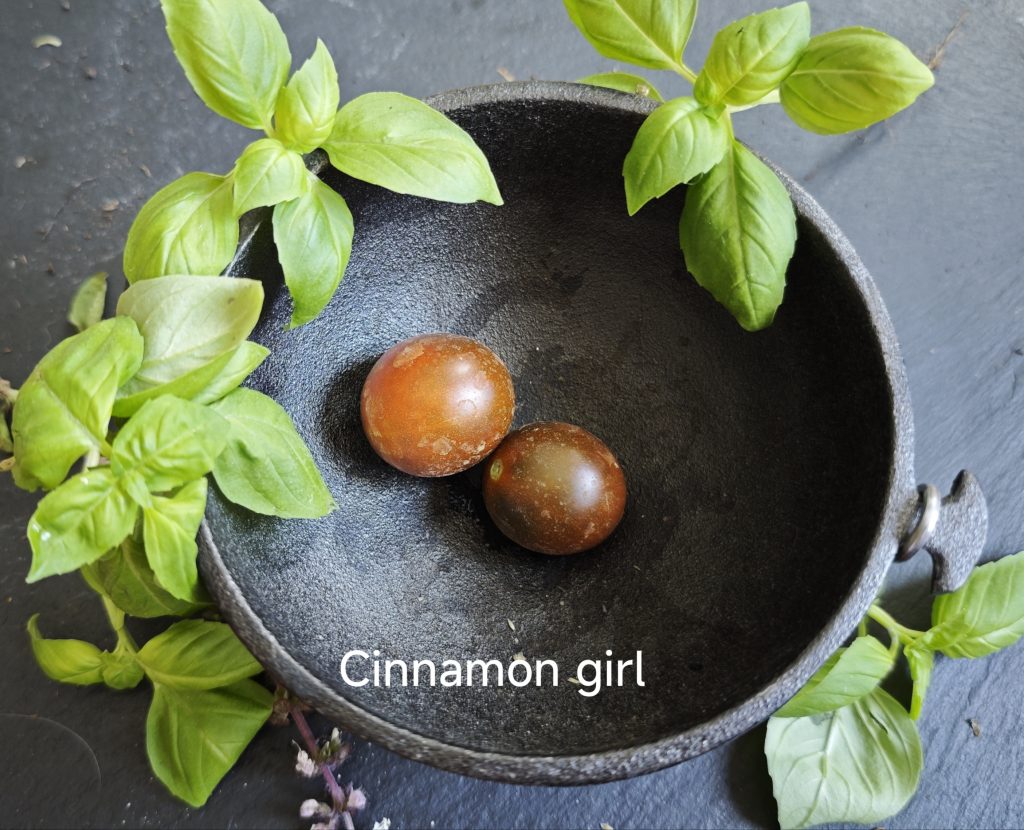 Neu 2026 Cinnamon girl