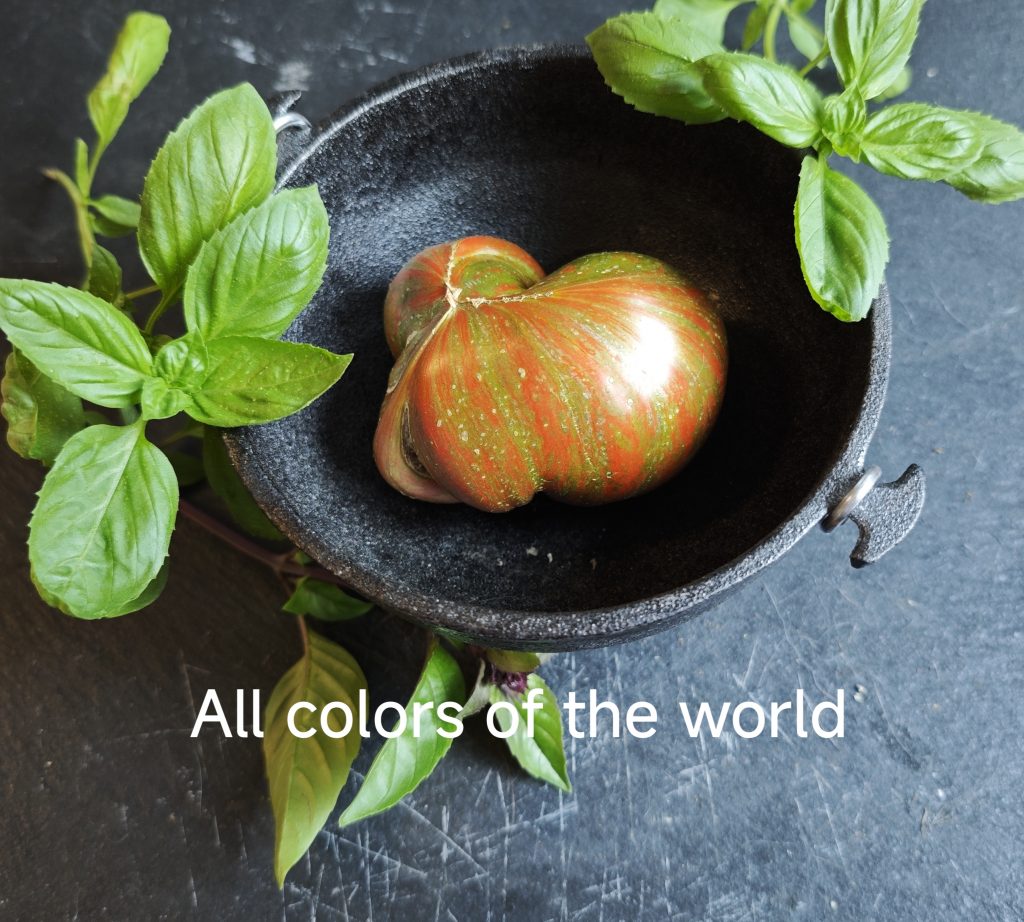 Neu 2026 All the Colors of the world