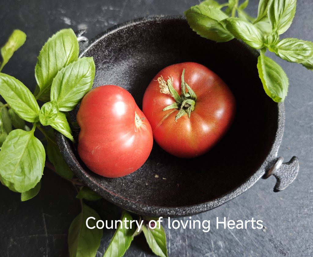Neu 2026 Country of Loving Hearts F7