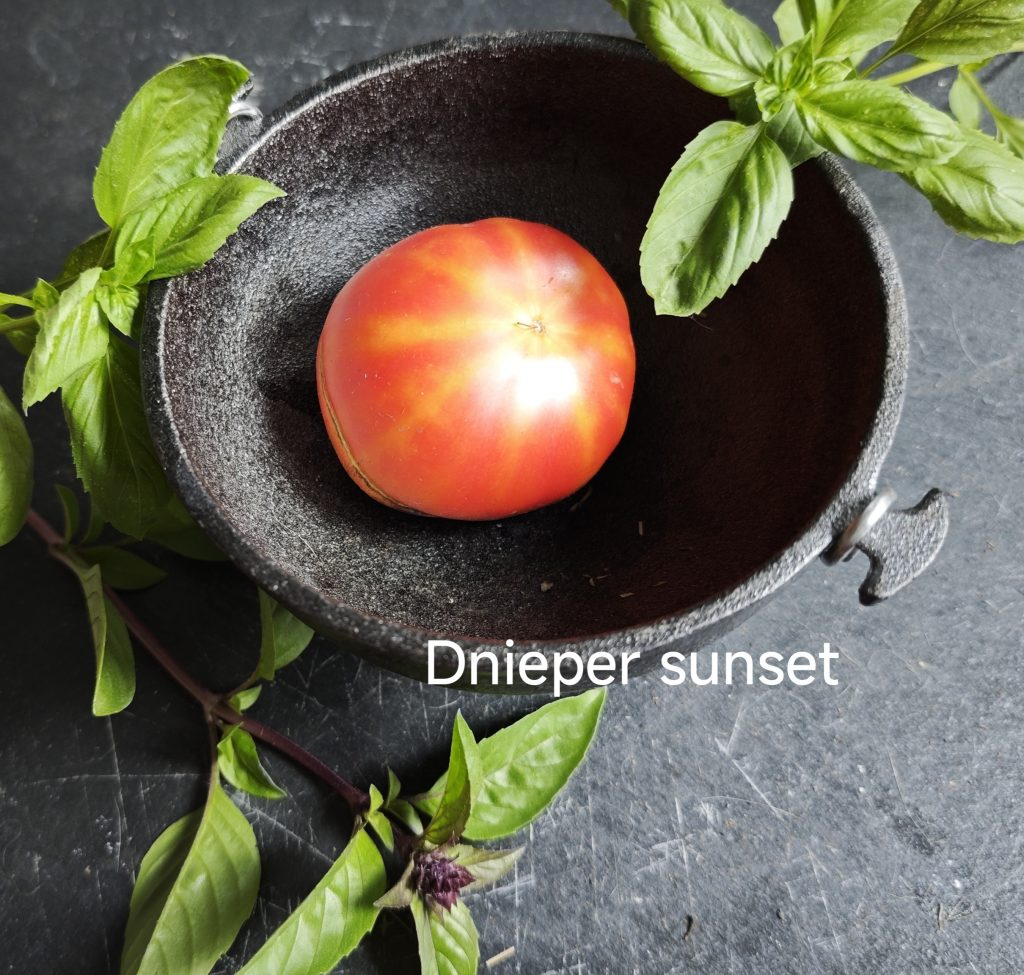 Neu 2026 Dnieper sunset