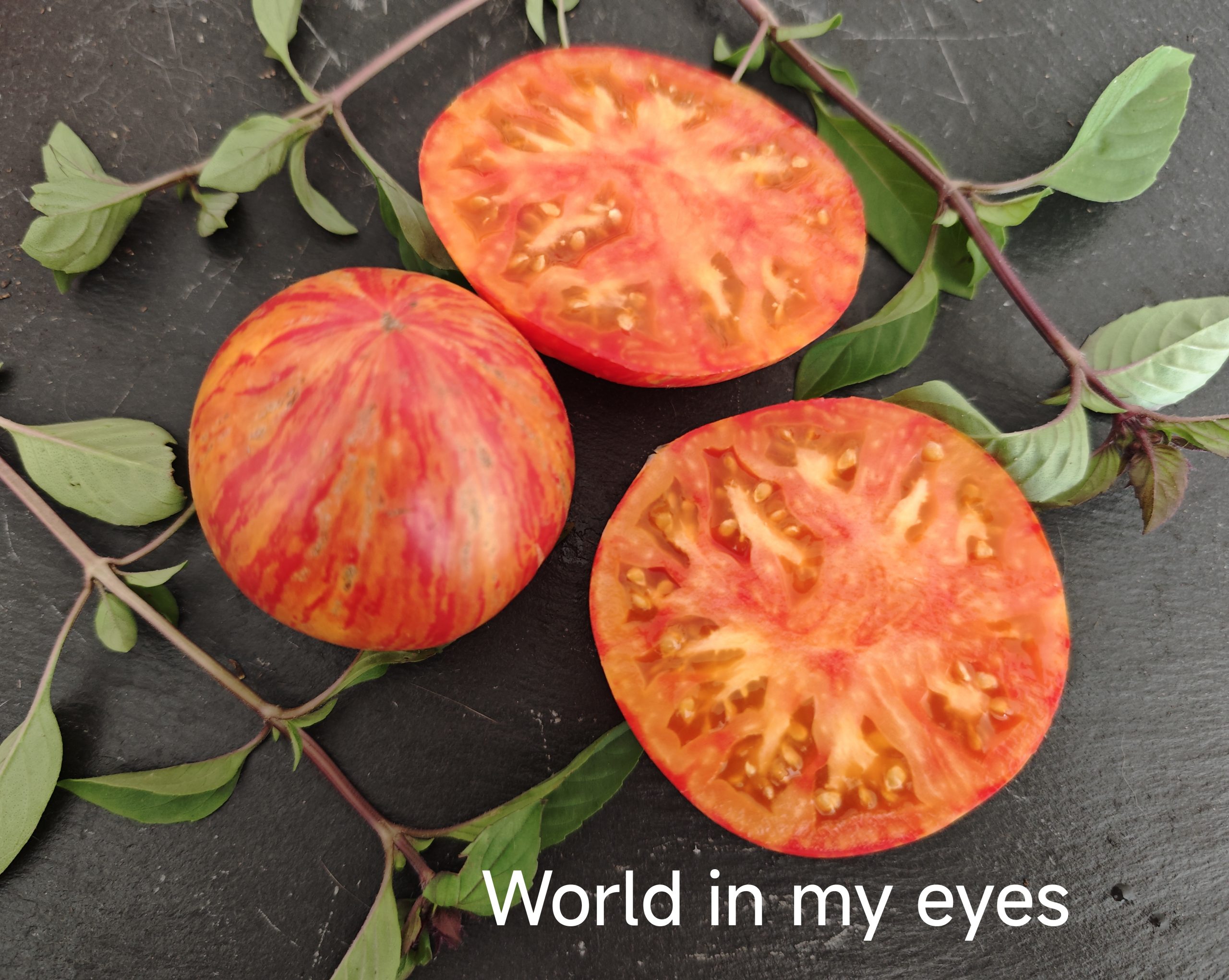 Neu 2026 World in my eyes – Bild 2