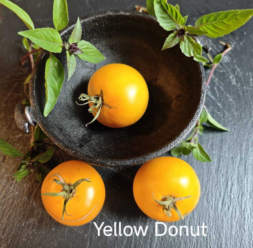 Neu 2026 yellow donut