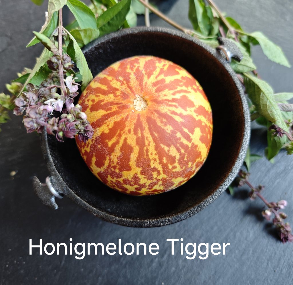 Neu 2026 Honigmelone Tigger