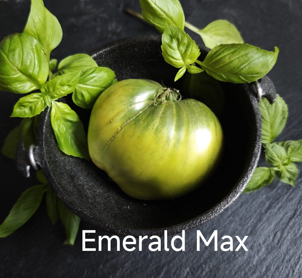 Neu 2026 Emerald Max