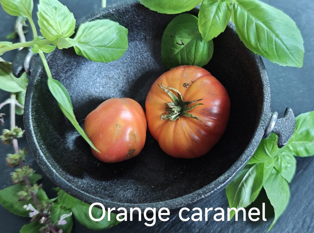 Neu 2026 Orange caramel