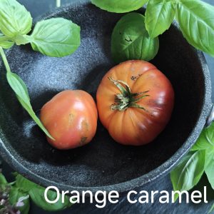 Neu 2026 Orange caramel