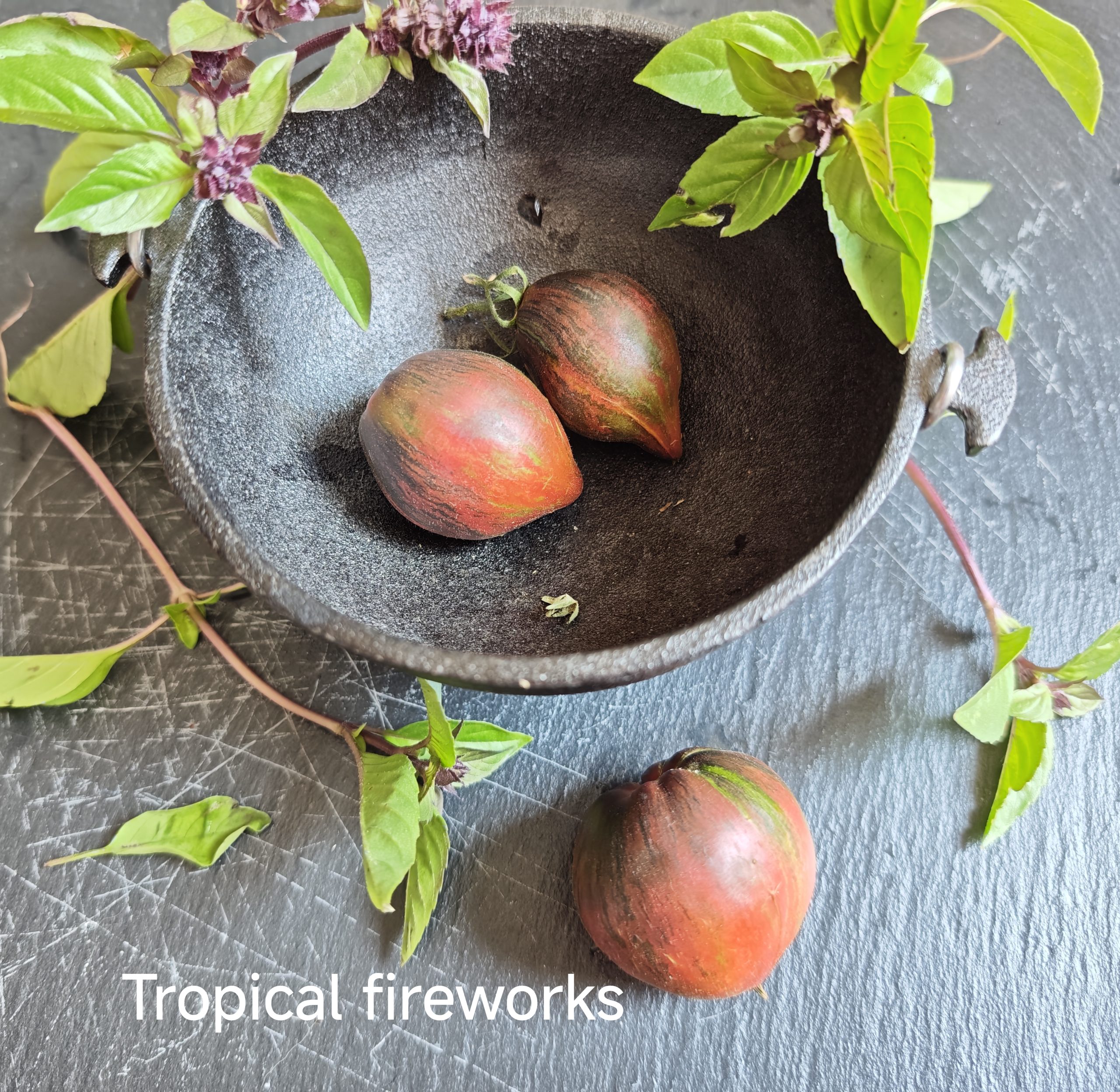 Neu 2026 Tropical Fireworks